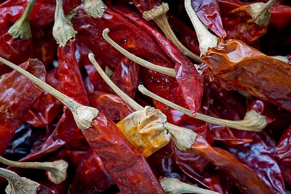 Dried red chili, Kerala, India
