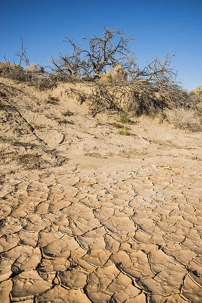 Dried riverbed, Lenwood on Mohave River during Drought Spotlight number 3, Route 66, Southern California, USA