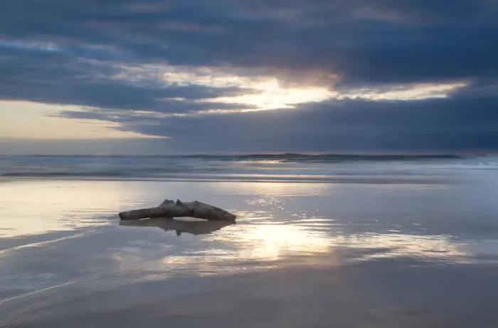Framed Print : Driftwood lying on a beach at sunrise with a reflection on the wet sand, Cape Vidal South Africa Framed Print : Driftwood lying on a beach at sunrise with a reflection on the wet sand, Cape Vidal South Africa