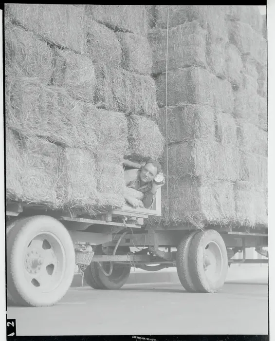 Framed Print : Driver Sleeping in Hay Truck Framed Print : Driver Sleeping in Hay Truck