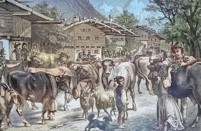 Framed Print : Driving up the cows to the Senner Alpe, Almauftrieb, Allgaeu, Bavaria, Germany, Historic, digitally restored reproduction from a 19th-century original Framed Print : Driving up the cows to the Senner Alpe, Almauftrieb, Allgaeu, Bavaria, Germany, Historic, digitally restored reproduction from a 19th-century original