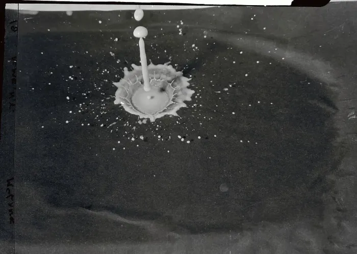 Framed Print : Drop of Milk Hitting Flat Surface Framed Print : Drop of Milk Hitting Flat Surface