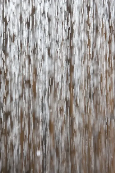 Framed Print : Dropping water, water drops, in front of bamboo Framed Print : Dropping water, water drops, in front of bamboo