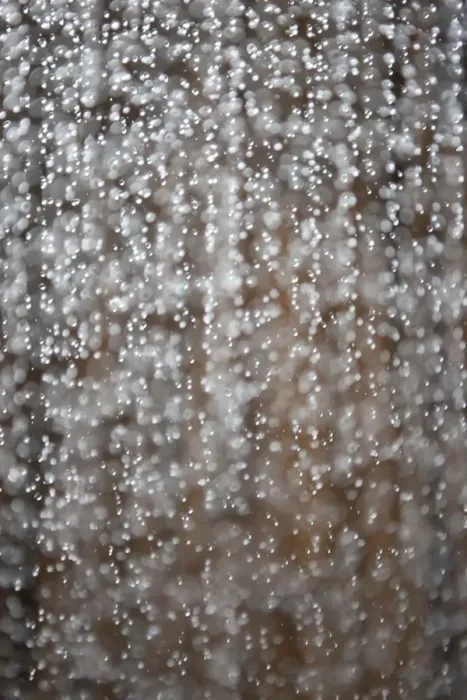 Framed Print : Dropping water, water drops, in front of bamboo Framed Print : Dropping water, water drops, in front of bamboo