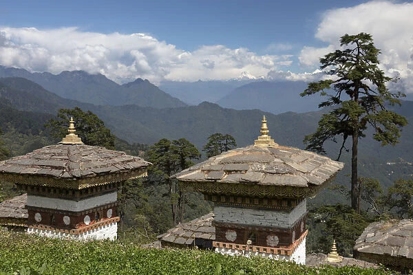 Druk wangyal chorten, Dorcha La Pass, Bhutan