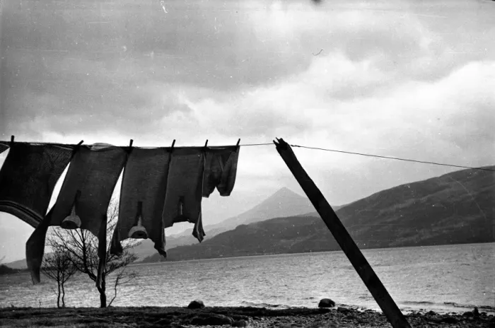 Framed Print : Out To Dry Framed Print : Out To Dry