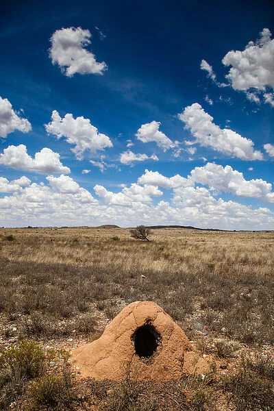 The dry and arid landscape in the Northern Cape is covered in anthills which have