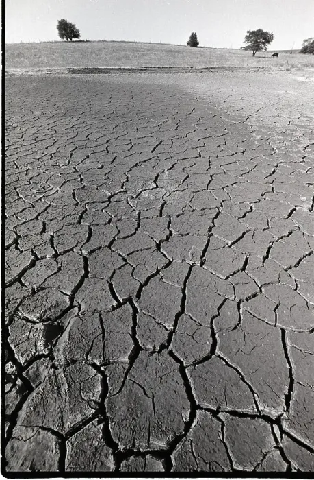 Framed Print : Dry Cracked Pond Framed Print : Dry Cracked Pond