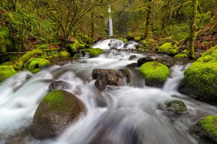 Framed Print : Dry Creek Falls in Springtime Framed Print : Dry Creek Falls in Springtime