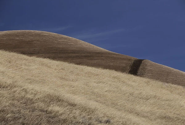 Dry mountain hill, California, USA