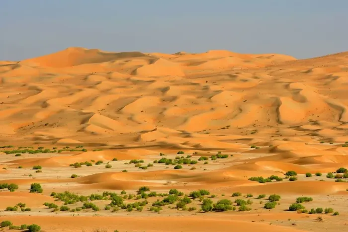 Framed Print : A Dry River Bed (Wadi) Through a Dune Field in the Desert Framed Print : A Dry River Bed (Wadi) Through a Dune Field in the Desert