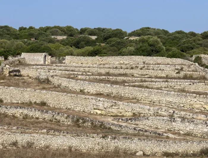 Framed Print : Dry stone walls, natural stone, Es Migjorn Gran, Minorca, Balearic Islands, Spain Framed Print : Dry stone walls, natural stone, Es Migjorn Gran, Minorca, Balearic Islands, Spain