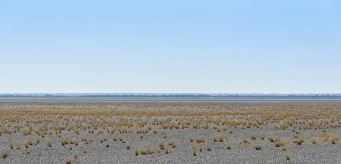 Framed Print : Dry tufts of grass at the edge of the Etosha Pan, salt pan, Etosha National Park, Namibia Framed Print : Dry tufts of grass at the edge of the Etosha Pan, salt pan, Etosha National Park, Namibia