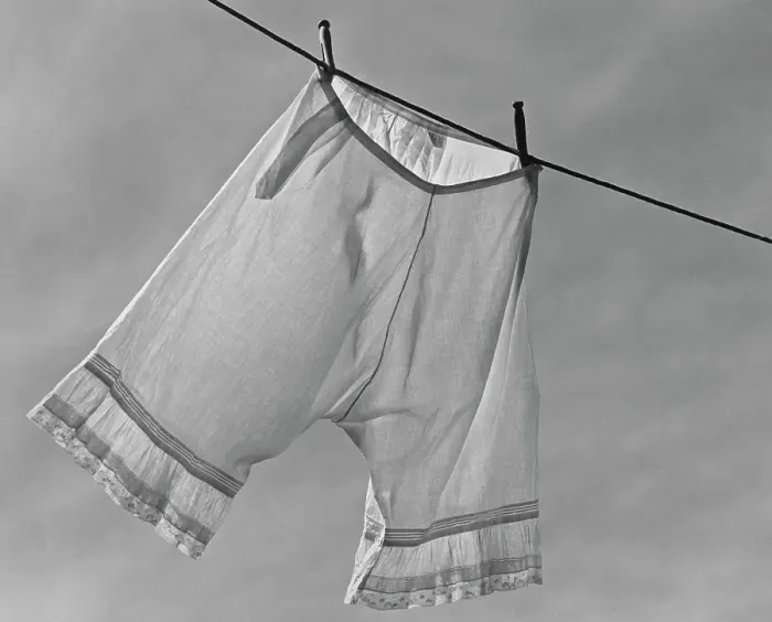Framed Print : Drying Bloomers Framed Print : Drying Bloomers