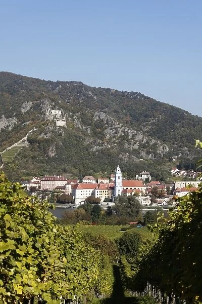Duernstein, view over vineyards near Rossatz and the Danube river, Wachau valley, Waldviertel region, Mostviertel region, Lower Austria, Austria, Europe