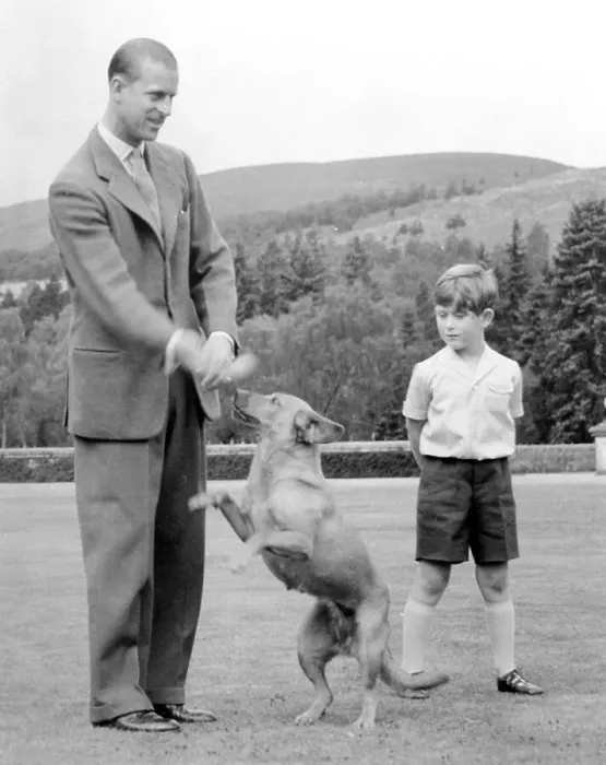 Framed Print : Duke of Edinburgh Playing with His Dog