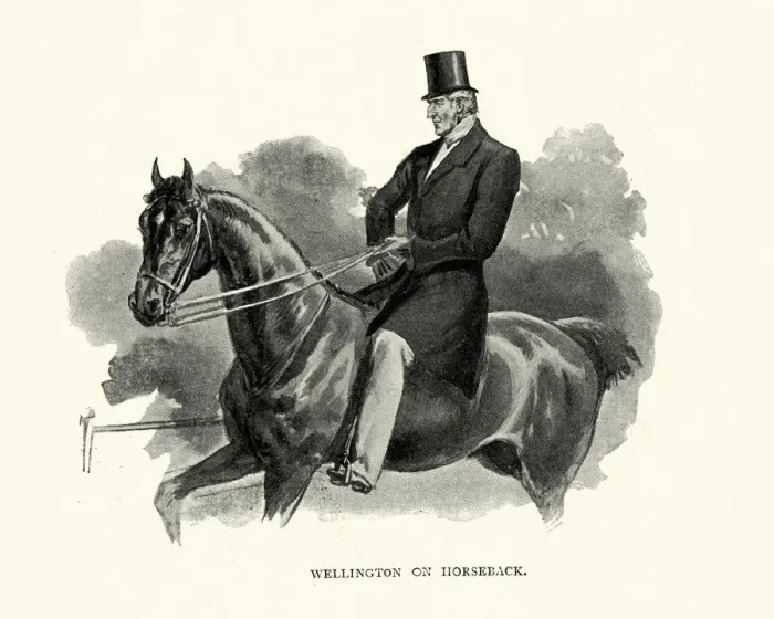 Framed Print : Duke of Wellington riding a horse, as old man Framed Print : Duke of Wellington riding a horse, as old man