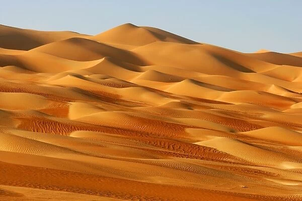 A Dune Field in the Desert