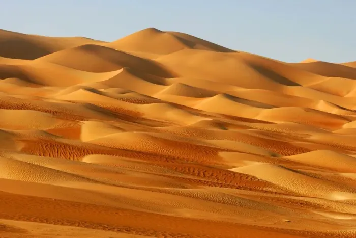Framed Print : A Dune Field in the Desert Framed Print : A Dune Field in the Desert