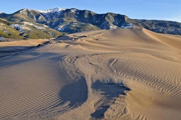 Dune landscape in front of the Sangre de Cristo Mountains, Great Sand Dunes National Park, Mosca, Colorado, USA