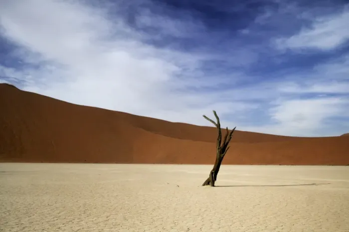 Framed Print : dune, life, Barren, Arid, Isolated, heat, red dunes, hot