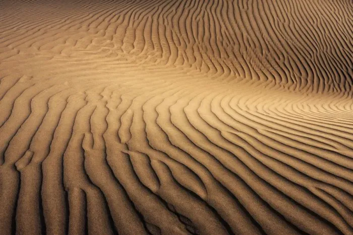 Framed Print : Dunes of Maspalomas, Dunas de Maspalomas, structures in the sand, nature reserve, Gran Canaria Framed Print : Dunes of Maspalomas, Dunas de Maspalomas, structures in the sand, nature reserve, Gran Canaria