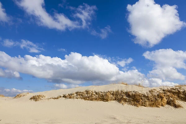 Dunes, Sankt Peter-Ording, Eiderstedt peninsula, Schleswig-Holstein, Germany