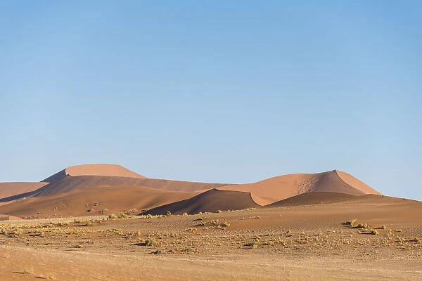 Dunes, Sossusvlei, Namib-Naukluft Park, Namibia