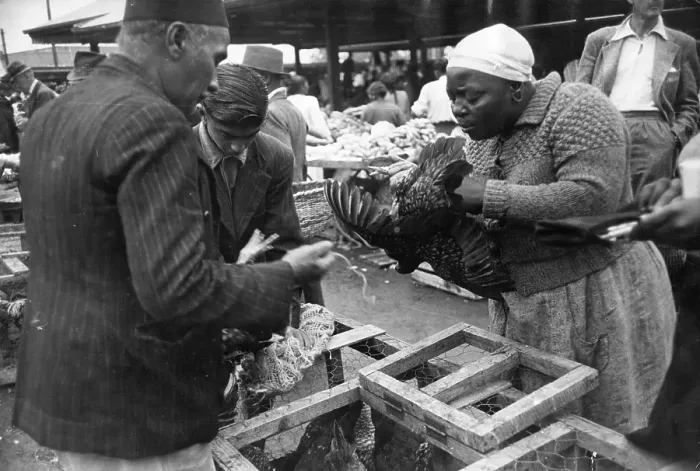 Framed Print : Durban Market