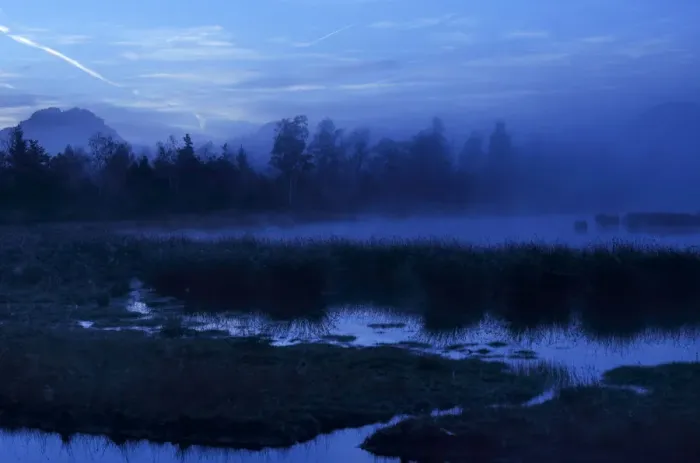 Framed Print : Dusk in the bog, alpine foothills, Grundbeckenmoor marsh, Nicklheim, Bavaria, Germany, Europe Framed Print : Dusk in the bog, alpine foothills, Grundbeckenmoor marsh, Nicklheim, Bavaria, Germany, Europe