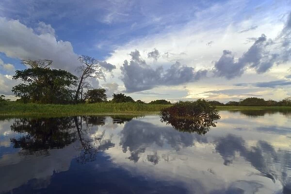 Dusk at a lake-like widened part of the Amazon or Rio Solimoes, Mamiraua Sustainable Development Reserve, Manaus, Amazonas, Brazil