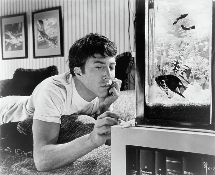 Framed Print : Dustin Hoffman In The Graduate Framed Print : Dustin Hoffman In The Graduate