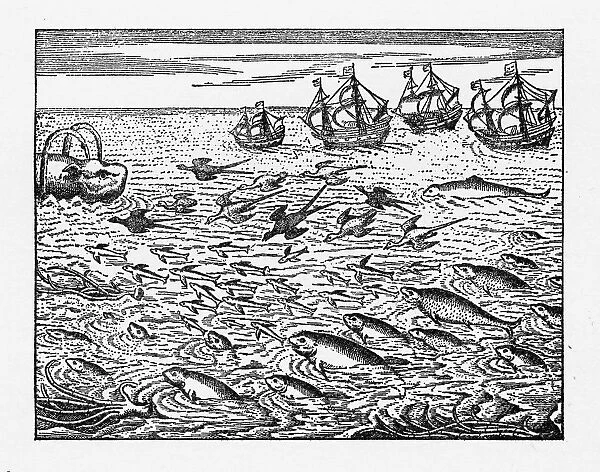 Dutch Navigators Encountering Flying Fish Illustration