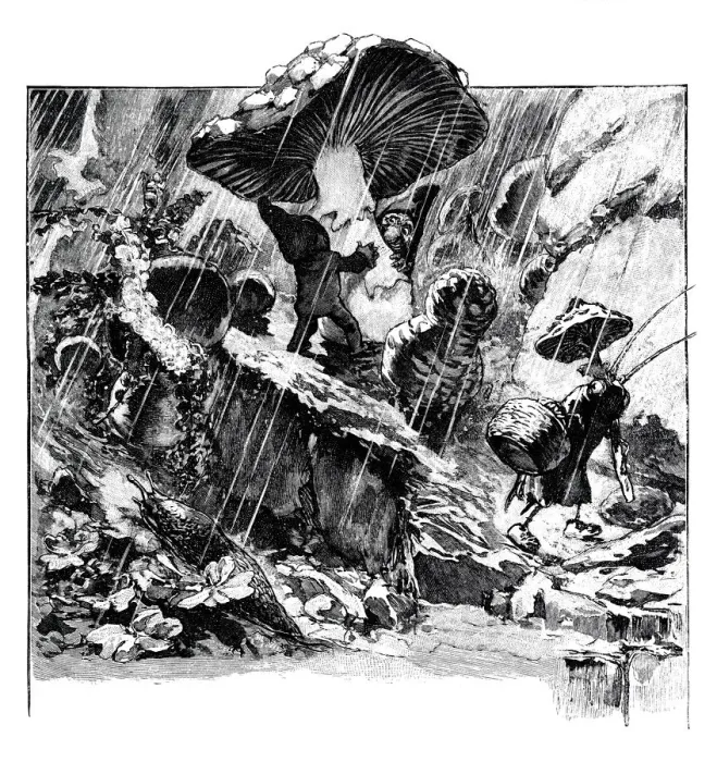 Framed Print : Dwarfs under a mushroom in the summer during rain Framed Print : Dwarfs under a mushroom in the summer during rain