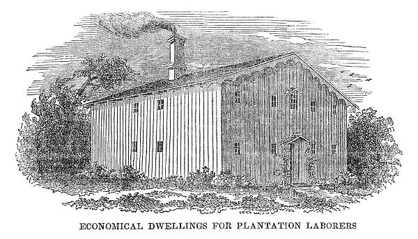 Dwelling for plantation workers engraving 1841