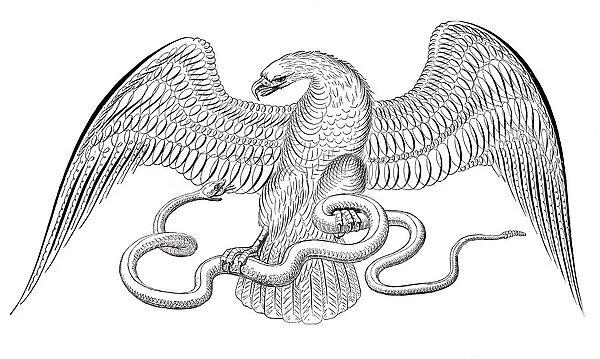 Eagle and snake penmanship calligraphy 1881