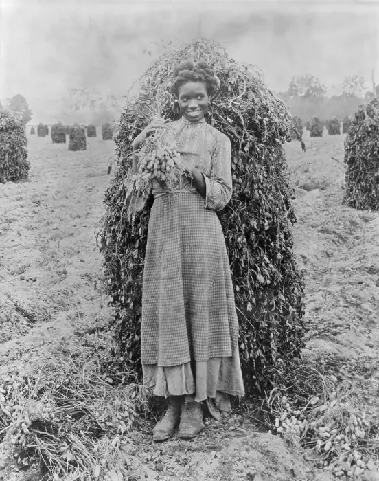 Framed Print : Early African American Girl on Peanut Plantation Framed Print : Early African American Girl on Peanut Plantation