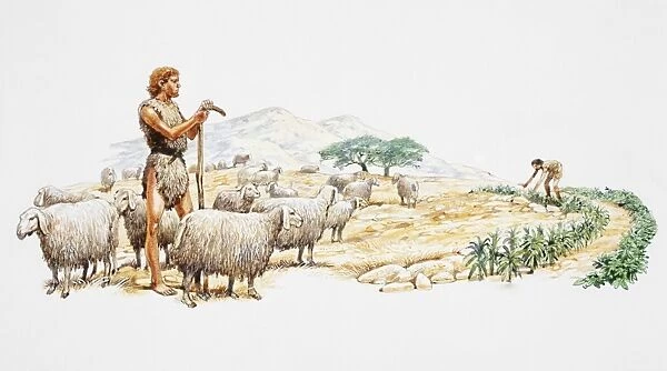 Early man tending to flock of sheep, tending to crops