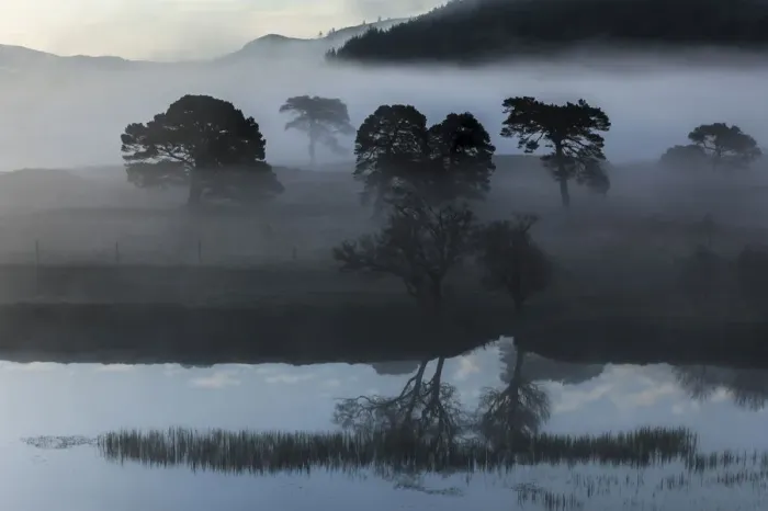 Framed Print : Early morning fog at Loch Arkaig, Fort William, Highlands, Scotland, United Kingdom