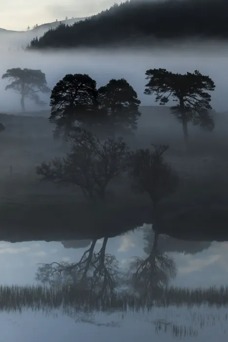 Framed Print : Early morning fog at Loch Arkaig, Fort William, Highlands, Scotland, United Kingdom Framed Print : Early morning fog at Loch Arkaig, Fort William, Highlands, Scotland, United Kingdom