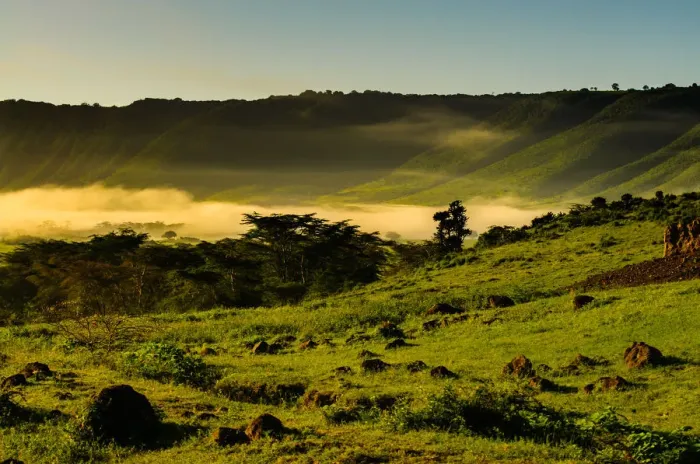 Framed Print : Early Morning Mist