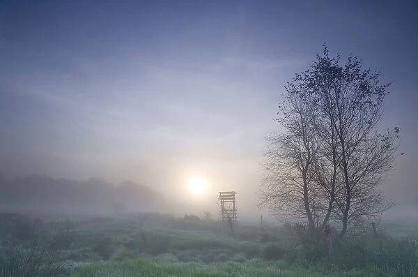 Early morning mist in the moorland in Floegeln, Lower Saxony, Germany, Europe