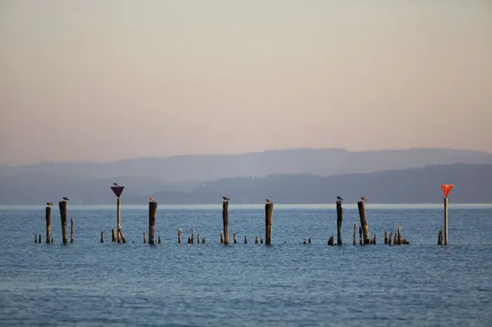Framed Print : Early morning mood in the port of Guettingen, Lake Constance, Switzerland, Europe, PublicGround
