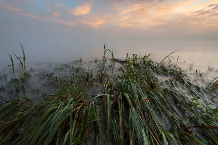 Framed Print : Early morning mood on the shore near Landschlacht, Lake Constance, Switzerland, Europe Framed Print : Early morning mood on the shore near Landschlacht, Lake Constance, Switzerland, Europe