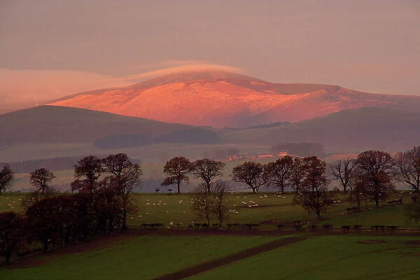 Early morning sun on The Cheviots