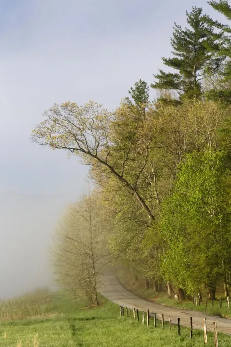 Framed Print : Early morning view of Hyatt Lane, Cades Cove, Great Smoky Mountains National Park, Tennessee, USA