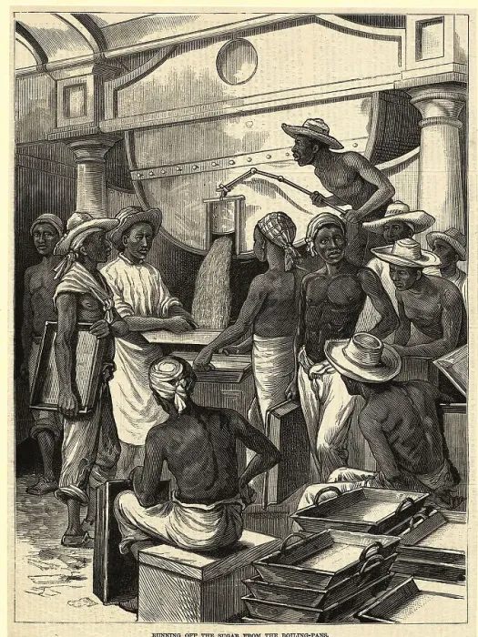 Framed Print : Early Woodcut of Cuba's Sugar Industry Workers Framed Print : Early Woodcut of Cuba's Sugar Industry Workers
