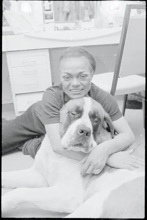 Framed Print : Eartha Kitt Sitting with Her Saint Bernard July Framed Print : Eartha Kitt Sitting with Her Saint Bernard July