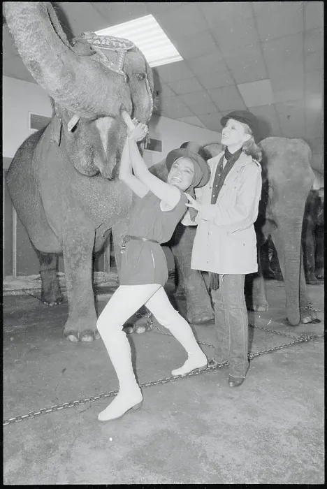 Framed Print : Eartha Kitt Standing with Her Daughter and Circus Elephant Framed Print : Eartha Kitt Standing with Her Daughter and Circus Elephant