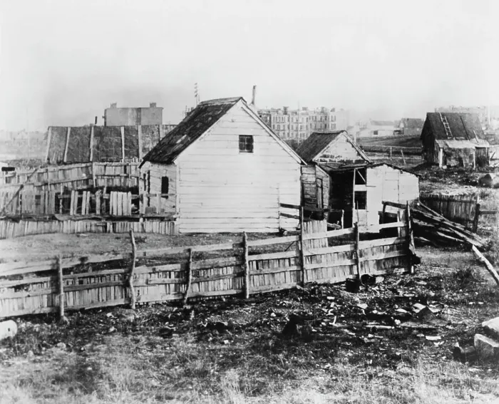 Framed Print : East Harlem Property, 1888